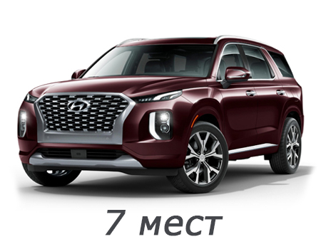 hyundai_palisade_2018-2024_7_mest