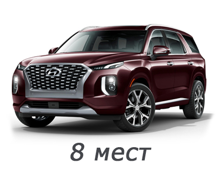 hyundai_palisade_2018-2024_8_mest