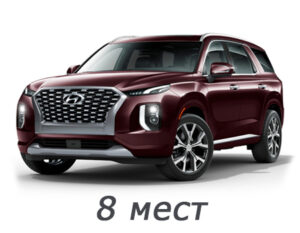 hyundai_palisade_2018-2024_8_mest.jpg