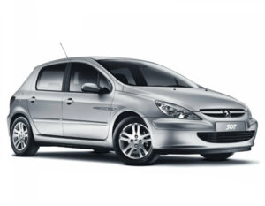 peugeot_307_i_2001-2005_dorestajl.jpg