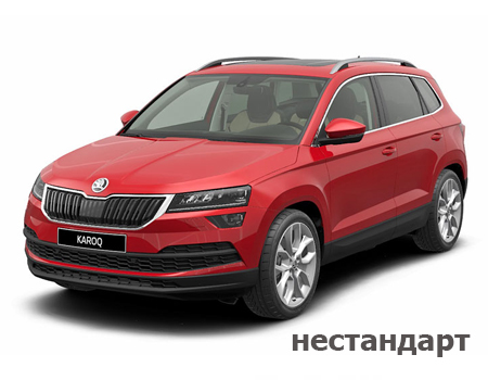 skoda_karoq_2017-2024_nestandart