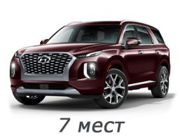 hyundai_palisade_2018-2024_7_mest
