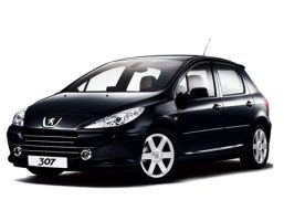 peugeot_307_i_2005-2008_restajling